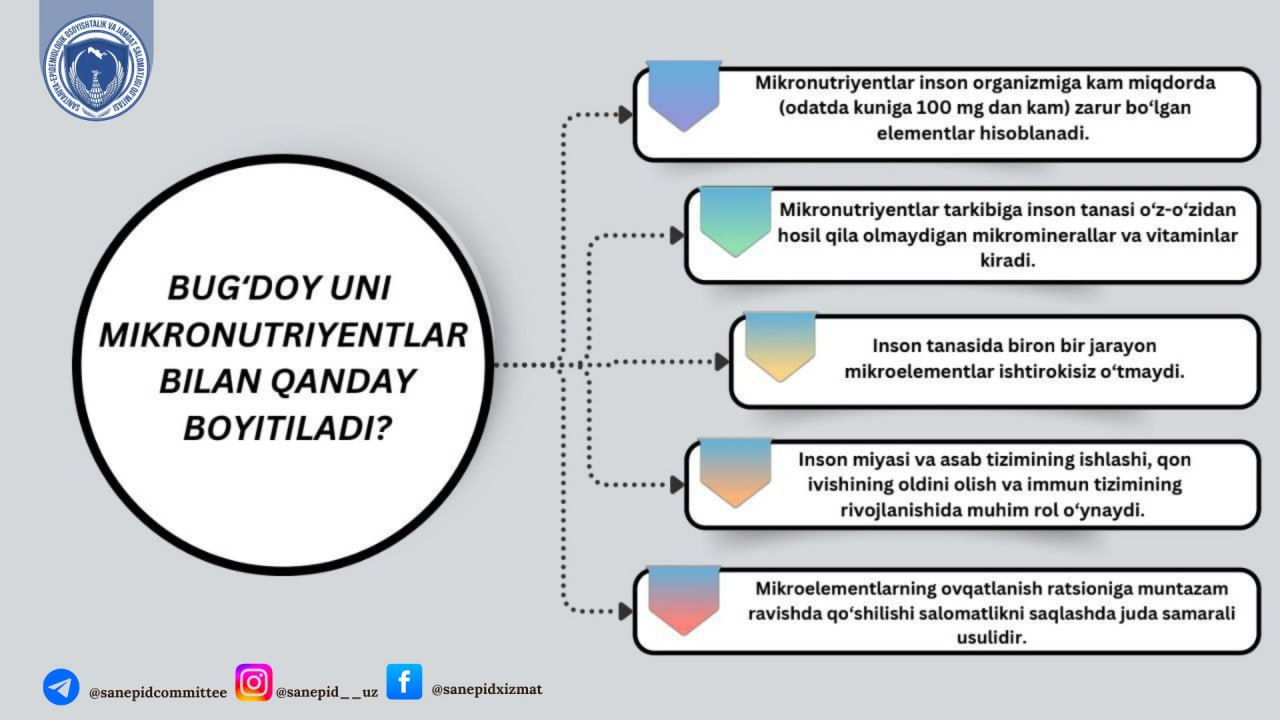 Bug'doy uni mikronutriyentlar bilan qanday boyitiladi?