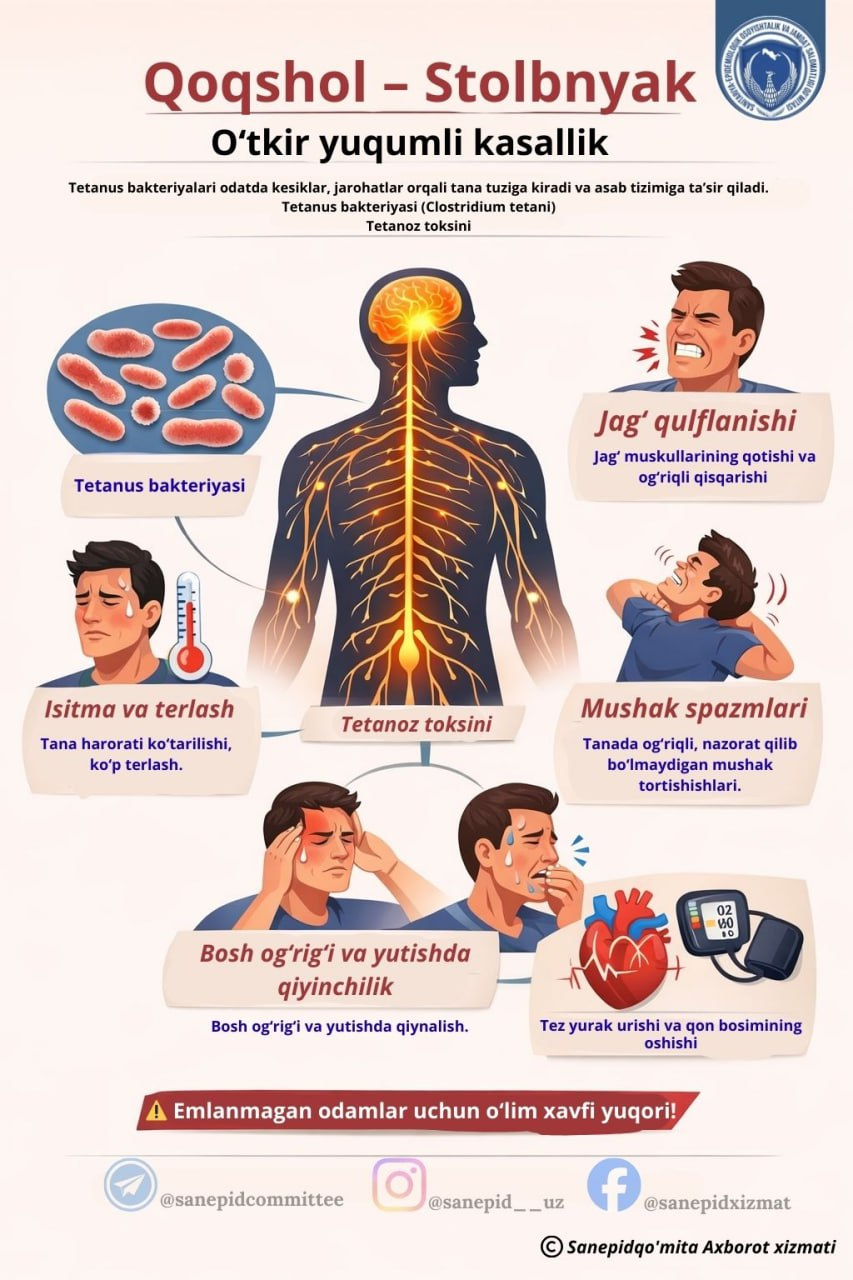 QOQSHOL (STOLBNYAK) — XAVFLI KASALLIK!
