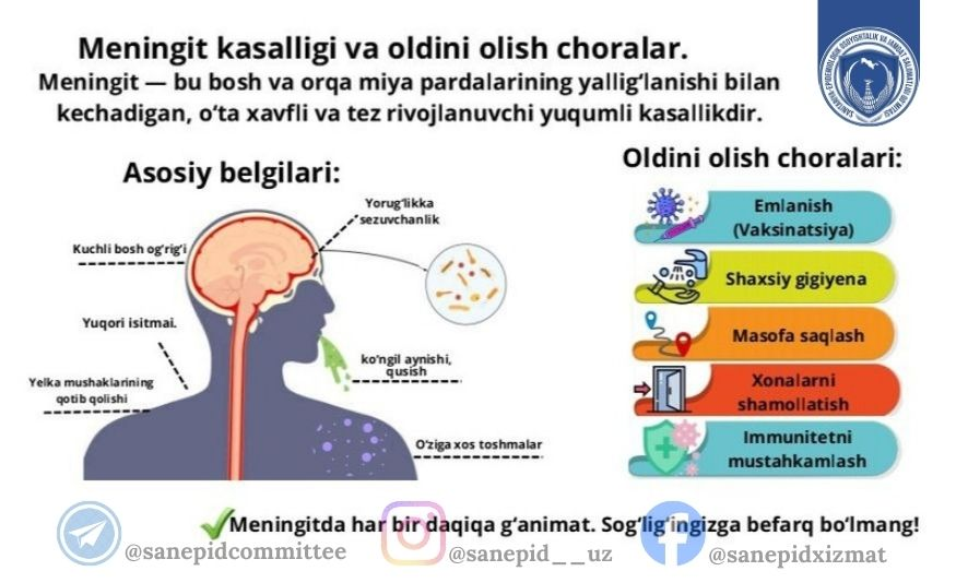 Meningit — bu bosh va orqa miya pardalarining yallig‘lanishi bilan kechadigan, o‘ta xavfli va tez rivojlanuvchi yuqumli kasallikdir.